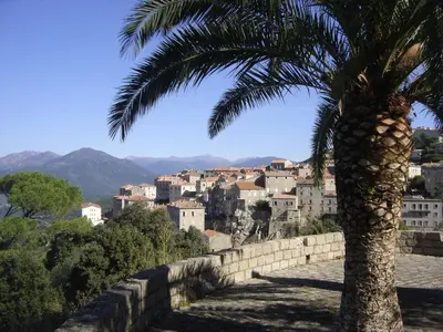 a palm tree next to a wall and a city at Demeure traditionnelle en pierre avec piscine in Sartène