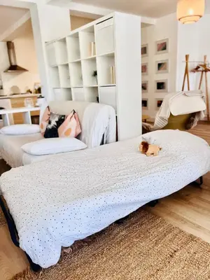 a dog laying on a bed in a room at Loft entre mer et campagne à 5 min d'Ajaccio classé 4 étoiles in Alata