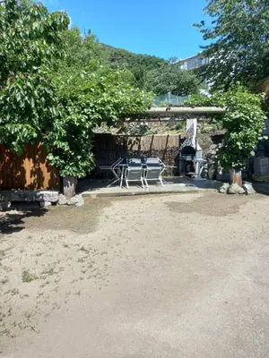 a bench sitting in a yard with two trees at Fresi Gustave in Levie