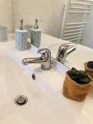 a bathroom sink with a faucet and a plant at Superbe appartement 3 étoiles Ajaccio début Sanguinaires in Ajaccio