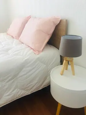 a bed with pink pillows and a table with a lamp at Superbe appartement 3 étoiles Ajaccio début Sanguinaires in Ajaccio