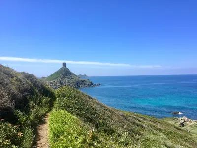 a path on a hill next to the ocean at Très beau studio à 100m de la plage de Marinella in Ajaccio