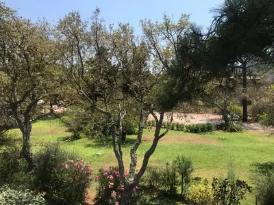 a garden with trees and flowers in a field at Porto-Vecchio Baie Santa Giulia appartement une chambre 4-5 personnes in Porto-Vecchio