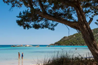 people standing on a beach with a tree at Résidence Mobydick in Porto-Vecchio
