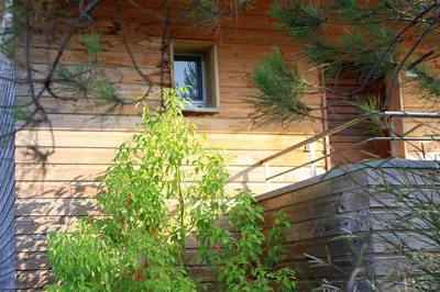 a wooden house with a window and a tree at Résidence Cala Sultana in Porto-Vecchio