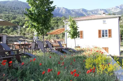 a garden with chairs and a table and flowers at Casa Vanella in Casamaccioli