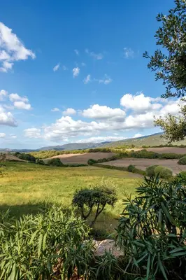 a green field with trees and a blue sky at Villa A LICCIA in Figari