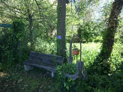 a park bench sitting in the grass next to a tree at Apartment in Moriani-Plage near the Beach in San-Nicolao