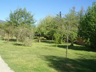 a small tree in the middle of a yard at Apartment in Moriani-Plage by the Beach in San-Nicolao