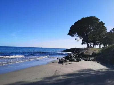 a beach with a tree and the ocean at Apartment in Moriani-Plage by the Beach in San-Nicolao