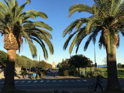 a person riding a bike between two palm trees at Holiday Home in Moriani-Plage near Beach in San-Nicolao
