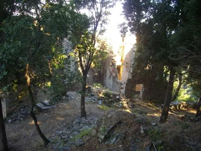 an old stone building in a forest with trees at Sole e Ventu 30qm in San-Giovanni-di-Moriani