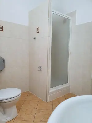 a bathroom with a shower and a toilet at Casa Guelfucci in Corte