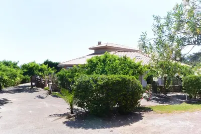 a large bush in front of a house at CANELLA 4 in Favone