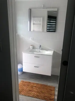 a bathroom with a sink and a mirror and a rug at duplex vue mer exceptionnelle in Porticcio