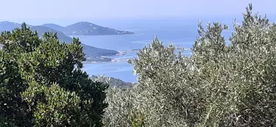 a view of the ocean from behind some trees at Villa Gasparini in Pietrosella