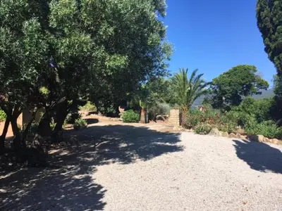 a gravel driveway with trees and bushes on a sunny day at Villa Gasparini in Pietrosella