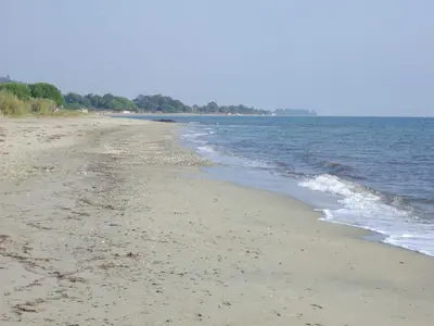 a sandy beach with water and trees in the background at Sole e Ventu 50qm in San-Giovanni-di-Moriani