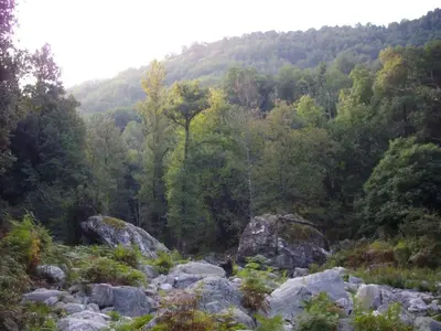 a view of a forest with rocks and trees at Sole e Ventu 50qm in San-Giovanni-di-Moriani