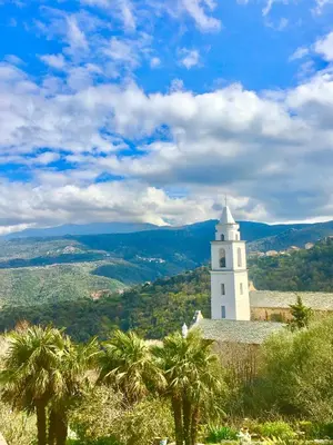 a white building with palm trees in the foreground at Gîte Emma in Santo-Pietro-di-Tenda