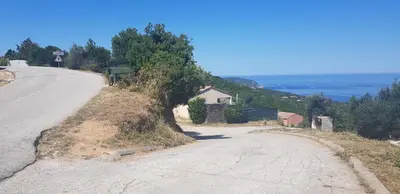 a road with a tree on the side of a hill at Villa Acqua Doria in Coti-Chiavari