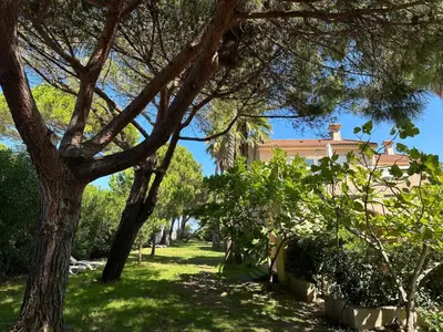 a yard with trees and a house in the background at Holiday Home Les Chênes by Interhome in Borgo