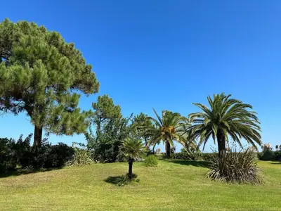 a park with palm trees and grass with a blue sky at Holiday Home Les Chênes by Interhome in Borgo