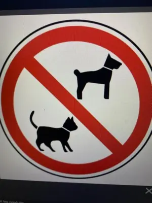a no cats allowed sign with a black cat on it at L Appicciu in Ventiseri