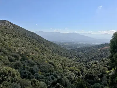 a view of a valley of trees and mountains at ELI&LOU avec piscine in Alata