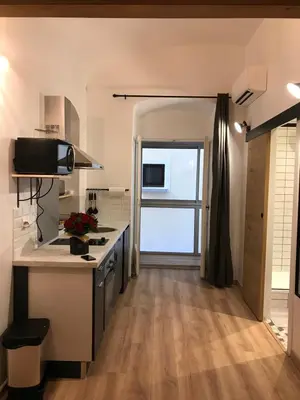 a kitchen with a sink and a counter top at Studio plein centre ville in Ajaccio