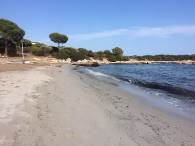 a sandy beach with a tree in the distance at Villa Ucellu sur 600 m2 avec accès mer privilégié et piscine privée chauffée in Sainte-Lucie de Porto-Vecchio