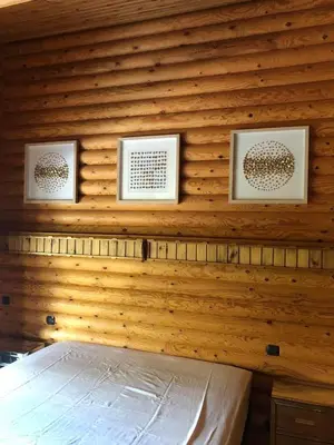 a log cabin with two pictures on the wall at Grande maison avec piscine in Porto-Vecchio