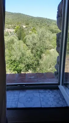 a window with a view of a field of bushes at Le Moulin de l'Ostriconi in Novella