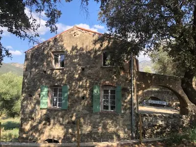 an old stone house with green windows and a tree at Le Moulin de l'Ostriconi in Novella
