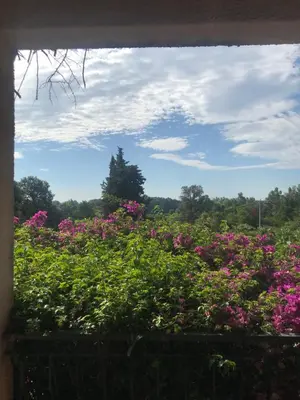 a window view of a garden with pink flowers at U Ricordu in Prunelli-di-Fiumorbo