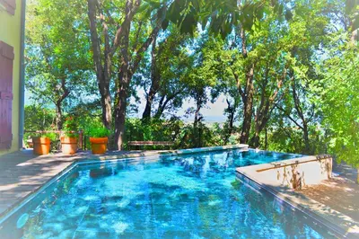 a swimming pool in a yard with trees in the background at Maison de la Vigne in Venzolasca
