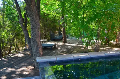 a park with two benches and a tree at Maison de la Vigne in Venzolasca