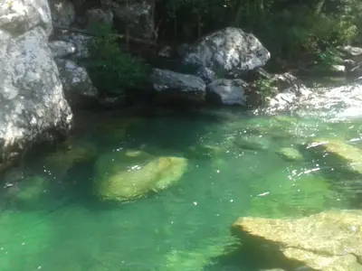 a pool of green water with rocks in it at Autour du Hamac chambres et table d'hôtes in Moltifao