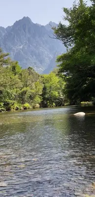 a river with trees and a mountain in the background at Autour du Hamac chambres et table d'hôtes in Moltifao