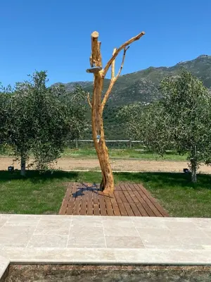 a tree in the middle of a brick yard at APICULTEUR in Oletta