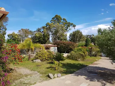 a garden with flowers and trees and a house at Chambre d'hôte Kalango proche de la plage-Piscine in Lucciana