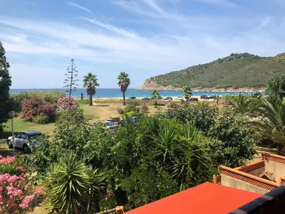 a view of a beach with palm trees and the ocean at Les Maisonnettes de Lava - Golfe de Lava - APPIETTO in Appietto