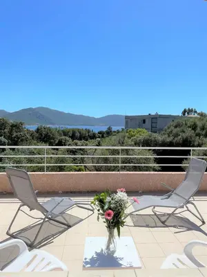 two chairs and a vase with flowers on a patio at Les Maisonnettes de Lava - Golfe de Lava - APPIETTO in Appietto