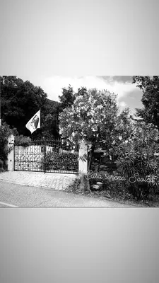 a tree with flowers in front of a fence at maison de charme avec piscine et vue exceptionnelle in Scolca