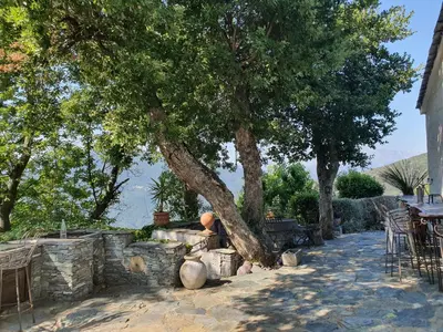 a tree in a stone wall with a table and chairs at maison de charme avec piscine et vue exceptionnelle in Scolca