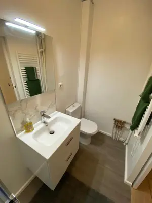 a bathroom with a sink and a toilet and a mirror at STUDIO rue pietonne Ajaccio in Ajaccio