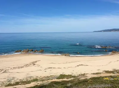 a sandy beach with the ocean in the background at Résidence Figarella in Propriano