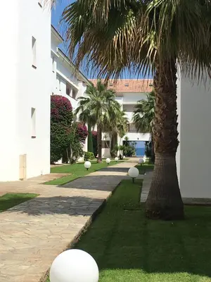 a courtyard with palm trees and a building at Appartement avec piscine vue mer et montagne in San-Nicolao