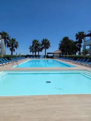 a large swimming pool with blue chairs and palm trees at Appartement avec piscine vue mer et montagne in San-Nicolao