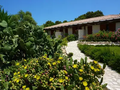a garden with yellow flowers in front of a building at Poisson Rouge in Bonifacio